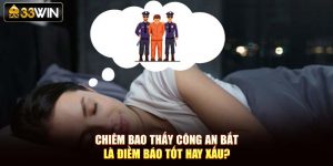 Chiêm Bao Thấy Công An Bắt Là Điềm Báo Tốt Hay Xấu?