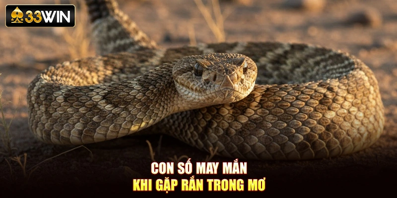 Con số may mắn khi gặp rắn trong mơ
