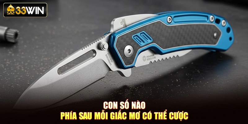 Con số nào phía sau mỗi giấc mơ có thể cược