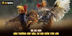 Đá Gà 888 – Đấu Trường Hấp Dẫn, Cơ Hội Kiếm Tiền Lớn
