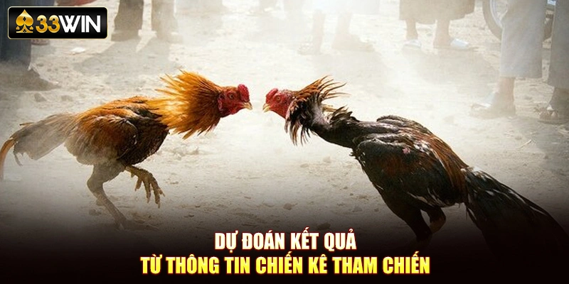 Dự đoán kết quả từ thông tin chiến kê tham chiến