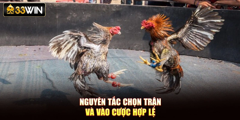 Nguyên tắc chọn trận và vào cược hợp lệ
