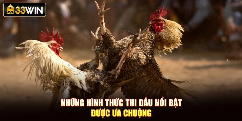 Những hình thức thi đấu nổi bật được ưa chuộng