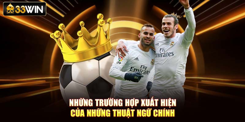 Những trường hợp xuất hiện của những thuật ngữ chính