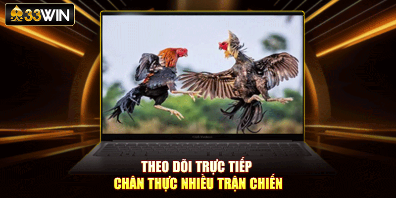 Theo dõi trực tiếp chân thực nhiều trận chiến