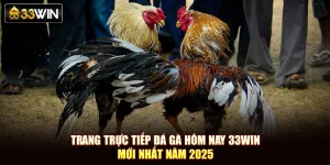 Trang Trực Tiếp Đá Gà Hôm Nay 33Win Mới Nhất Năm 2025