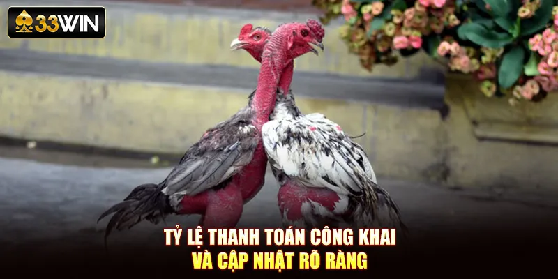 Tỷ lệ thanh toán công khai và cập nhật rõ ràng