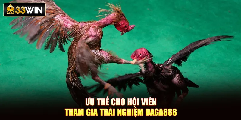 Ưu thế cho hội viên tham gia trải nghiệm daga888